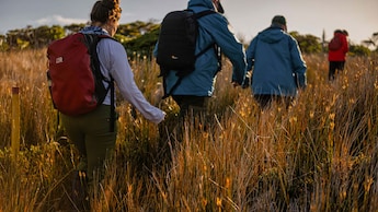 Hikers on safari in Africa